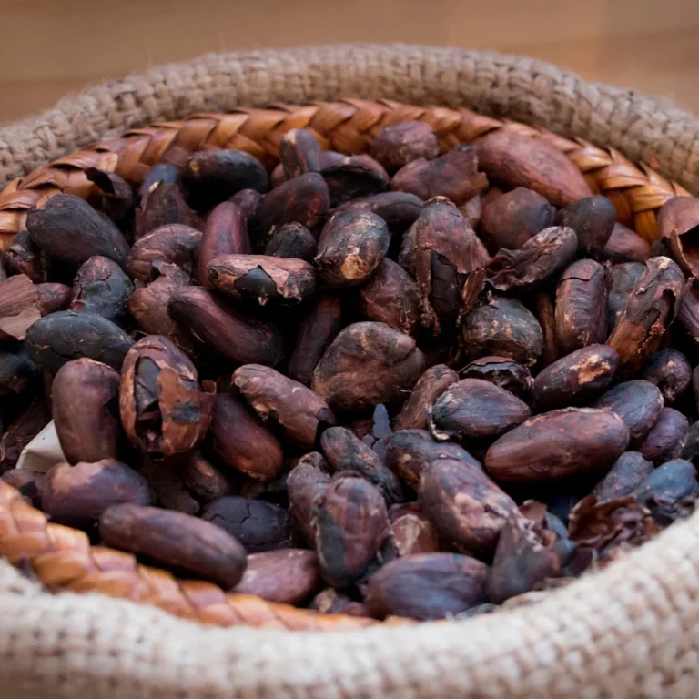 Kakavos pupelės (25 g)