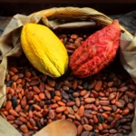 Smulkinta ceremoninė kakava (Peru, 250g)
