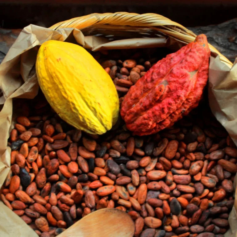 Smulkinta ceremoninė kakava (Peru, 250g)
