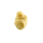 Natūrali kempinė (~11/7 cm)
